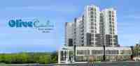 Olive Celestina by Olive Builders Kottayam 